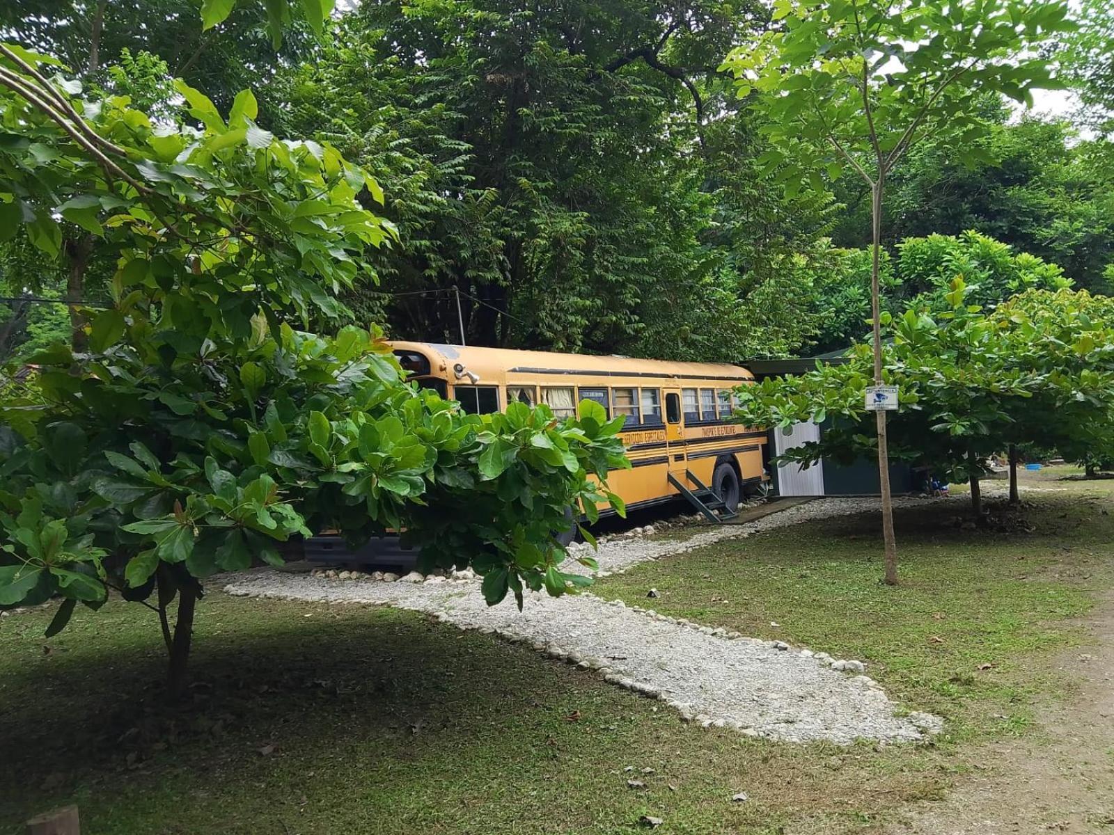 Nanku Nimbu Casa-Bus Equipada Cerca De Playas Apartment Samara Luaran gambar